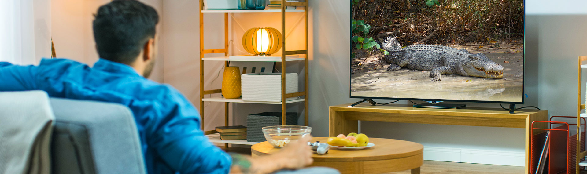 Tv-Fernsehtechnik Tv-Fernsehtechnik